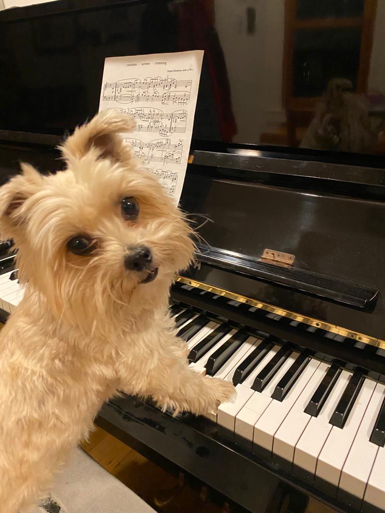 kumi plays piano
